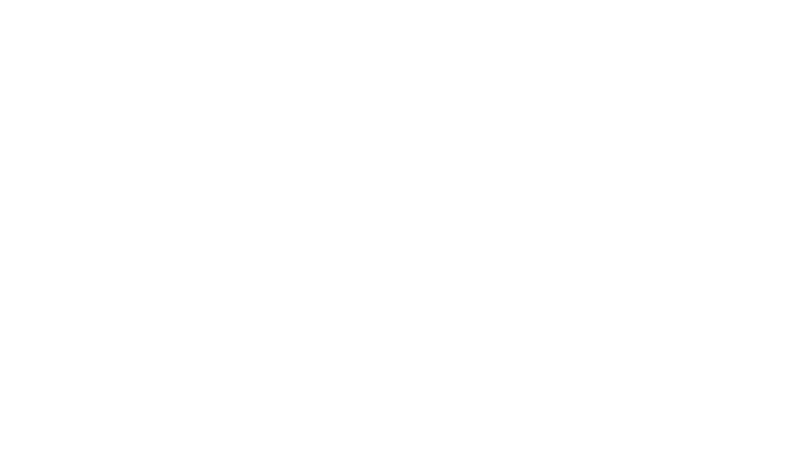 Conversion Cub